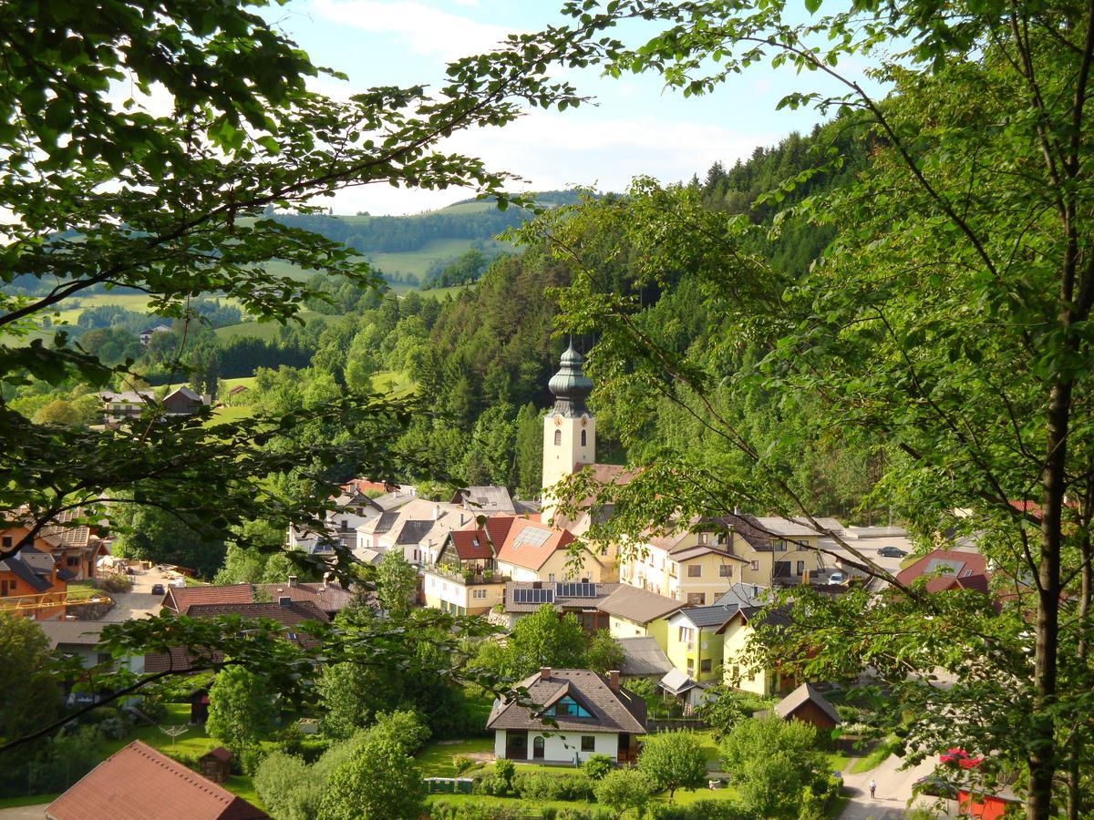 Gästehaus Daurer Reinsberg Exterior foto